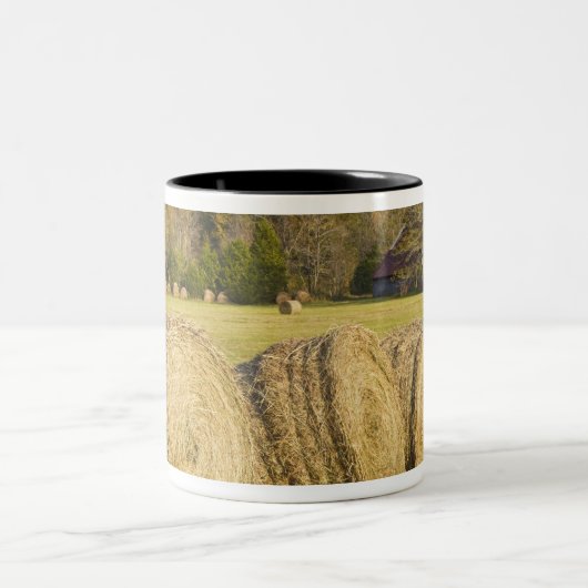 バッファローの国民の川の歴史的な農場、 ツートーンマグカップ (中央)