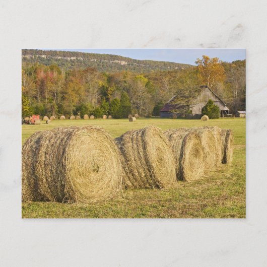 バッファローの国民の川の歴史的な農場、 ポストカード (正面)