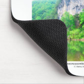 バッファローの国民の川I -春の群葉2008年 マウスパッド (コーナー)