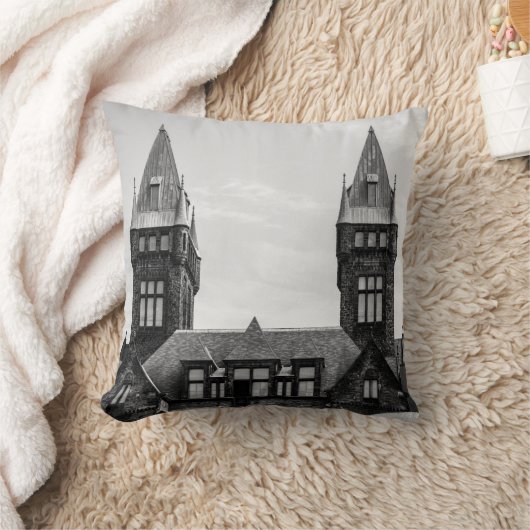 バッファローの州の精神病院の装飾用クッション クッション (ブランケット)