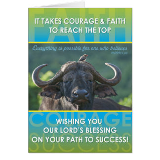 バッファローの成功