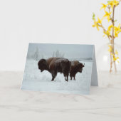 バッファローの挨拶状 カード (黄色い花)