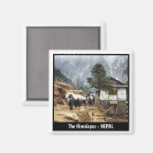 バッファローの移動、エベレストの歩道のビュー – ネパール マグネット (正面/裏面)