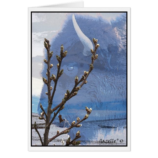 バッファローの精神 (正面)