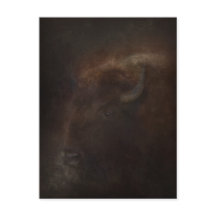 バッファローの精神