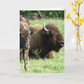 バッファローの絵入りの挨拶状 カード (黄色い花)