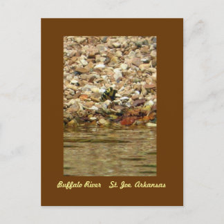 バッファローの蝶 ポストカード