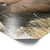 バッファローの8x10写真 フォトプリント            (角)