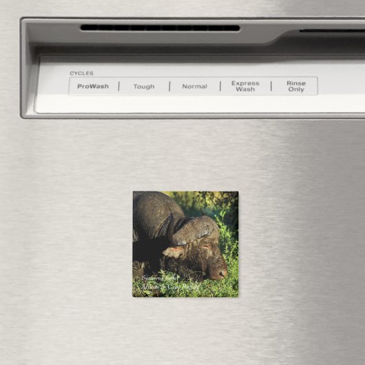 バッファローアフリカンシンセラスカファー マグネット (インサイチュ (食洗機))