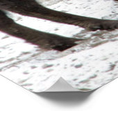 バッファローエルド自然ウォールポスター ポスター (角)