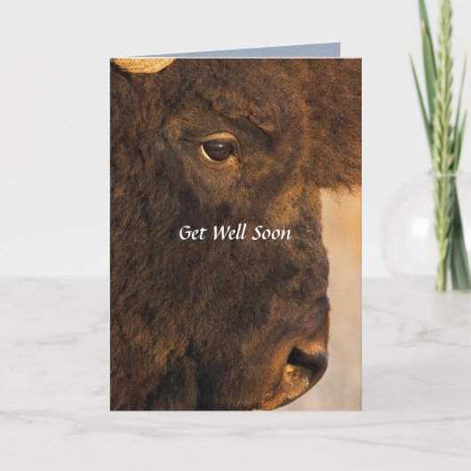 バッファローカードの両端ユーモアのある。 カード (正面)