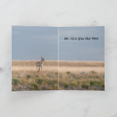 バッファローカードの両端ユーモアのある。 カード (内部)