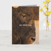 バッファローカードの両端ユーモアのある。 カード (黄色い花)