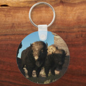 バッファローガード キーホルダー (正面)