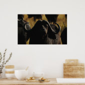 バッファローケープサファリの壁掛け ポスター (キッチン)