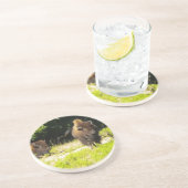 バッファローコースター・バイソン コースター (側面)