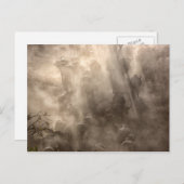 バッファローダスト ポストカード (正面/裏面)