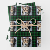 バッファローチェックのペットの写真クリスマス ラッピングペーパーシート (インサイチュ)