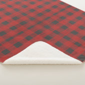 バッファローチェックプレイド シェルパブランケット (3/4)