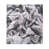 バッファローナッツ – 水仙 ノートパッド (正面)