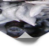 バッファローナッツ – 水仙 ポスター (角)