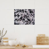 バッファローナッツ – 水仙 ポスター (キッチン)