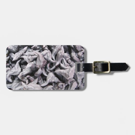 バッファローナッツ – 水仙 ラゲッジタグ (正面横)