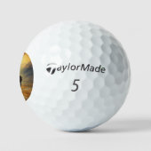 バッファローバイソンサンセットシルエット ゴルフボール (ロゴ)