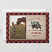 バッファローバイソンバーラップ素朴クリスマスツリーの写真 シーズンカード (正面)