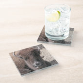 バッファローフォトスクエアガラスコースター ガラスコースター (アングル)