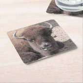 バッファローフォトスクエア紙コースター スクエアペーパーコースター (アングル)