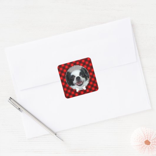 バッファロープライドカスタムペットフォトステッカー スクエアシール (封筒)