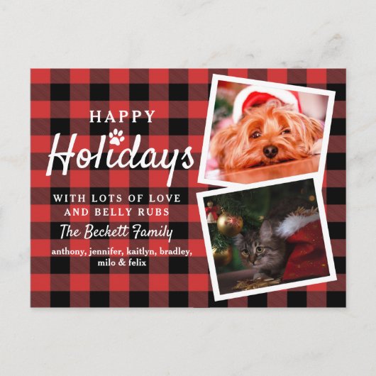 バッファロープレイド2フォトコラージペットホリデー 案内ポストカード (正面)