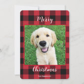 バッファロープレイメリークリスマスワンフォト シーズンカード (正面)