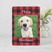 バッファロープレイメリークリスマスワンフォト シーズンカード (スタンド正面)