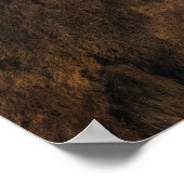 バッファロープロファイル ポスター (角)