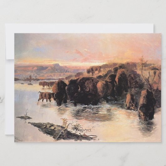 バッファローヘルド カード (正面)