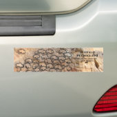 バッファローペトログリフ – ニューメキシコ州のカニョン語 バンパーステッカー (車上)