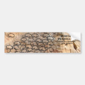 バッファローペトログリフ – ニューメキシコ州のカニョン語 バンパーステッカー (正面)