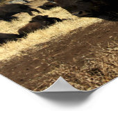 バッファローポスターの群れ ポスター (角)