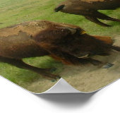 バッファローラム02 ポスター (角)