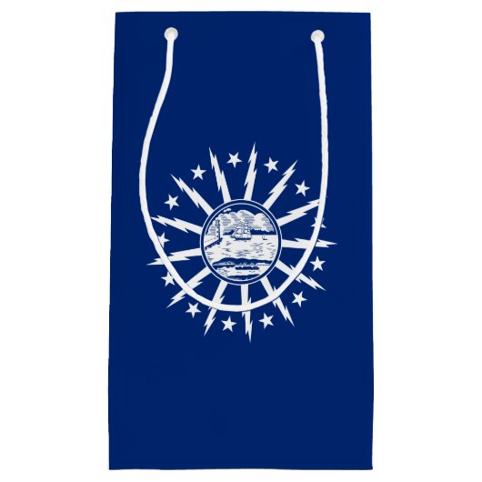 バッファロー国旗、ニューヨークスモール抱き枕 スモールペーパーバッグ (正面)