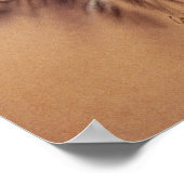 バッファロー岬とオキペッカーズ岬ポスター ポスター (角)