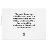 バッファロー岬 (裏面横)