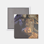 バッファロー岬 マグネット (正面/裏面)