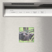 バッファロー岬 マグネット (インサイチュ (食洗機))