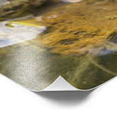 バッファロー川に沿ったカエル、マイル126上 フォトプリント            (角)