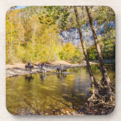 バッファロー川コースターセットを渡る コースター (正面)