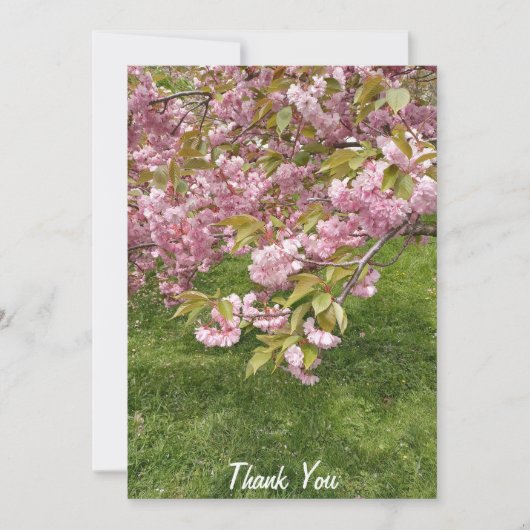 バッファロー日本のガーデンズピンクさくらんぼブロッサム サンキューカード (正面)