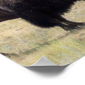 バッファロー狩りポスター ポスター (角)